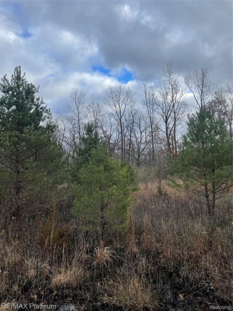 0 Seymour Rd, Argentine Township