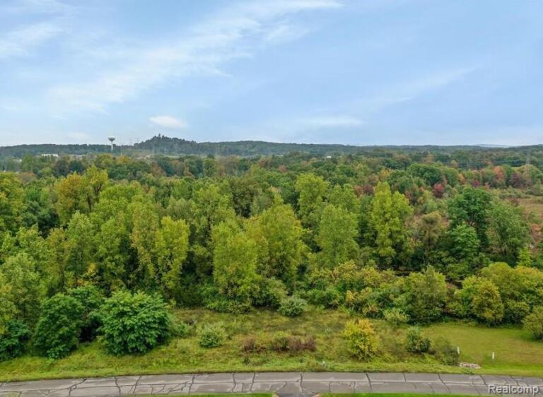 6095 Whispering Meadows Dr, White Lake