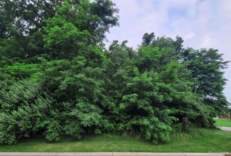 Lot 12 Wyndam Ln, Hamburg