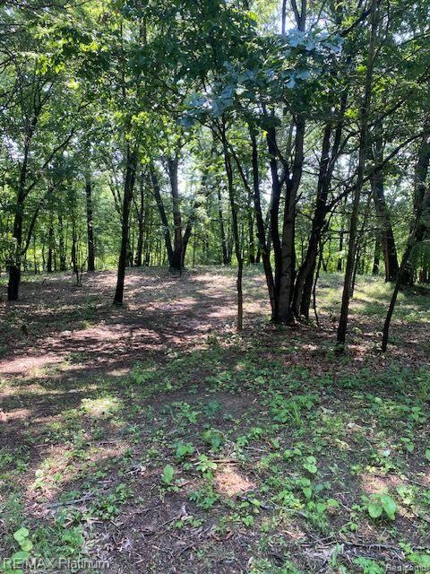 4 Sleaford-Parcel 4 – 32.92 Acres Rd, Howell