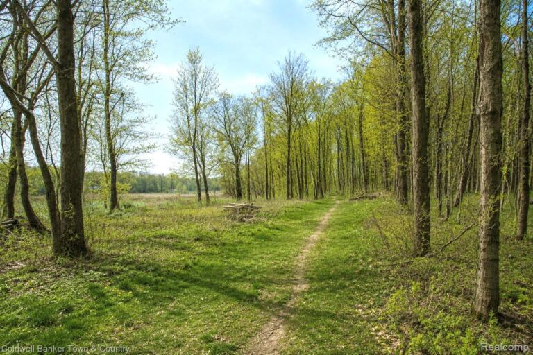 VL Spears, Unadilla Township
