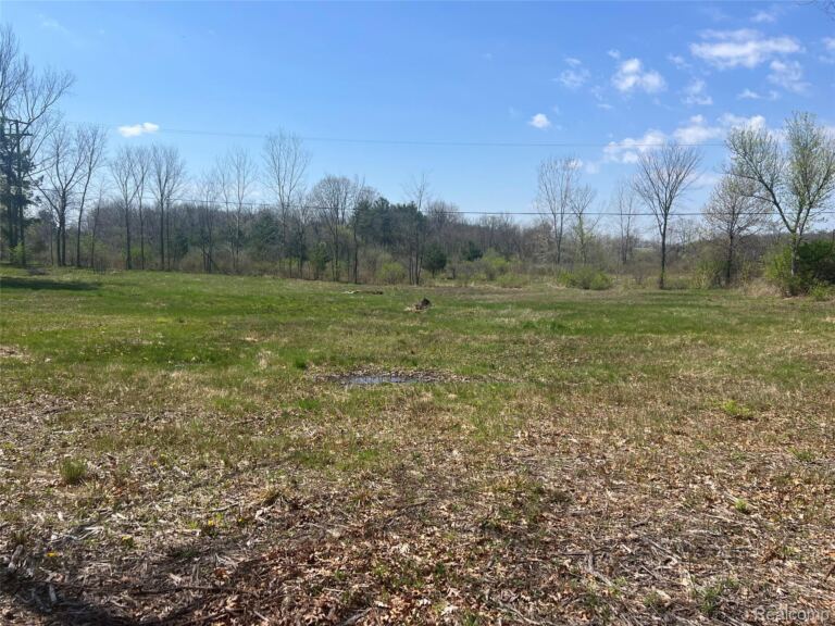 000 N Latson Rd, Oceola Township