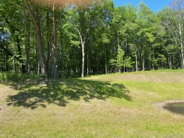 Lot 5 Dollar Ridge Ln, Green Oak Township