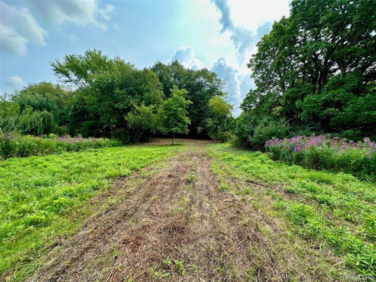 0 Latson Rd, Oceola Township