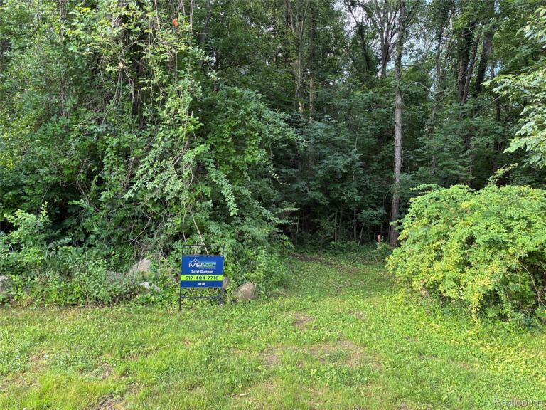 0 E East Allen Road Rd, Oceola Township