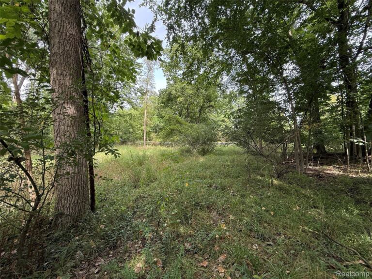 Lot 66 Preserve Dr, Tyrone Township