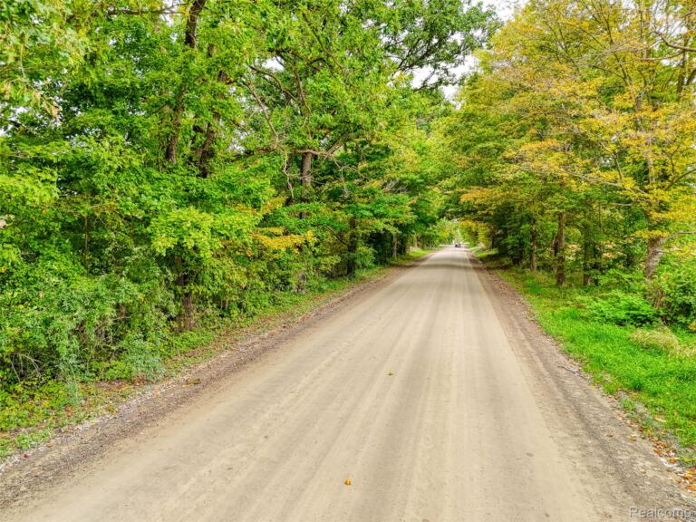 V/L Pingree Rd. Rd, Marion Township