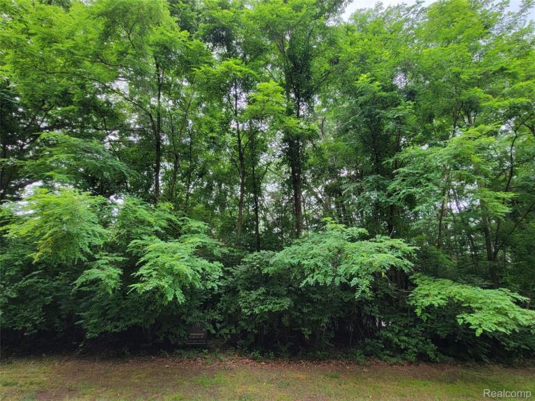 Lot 44 – Pinemont, Hamburg