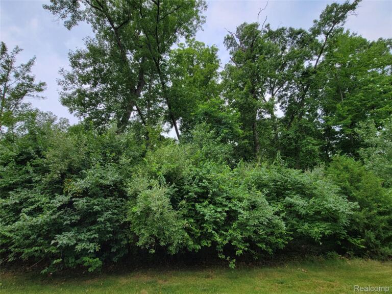 Lot 53 – Pinemont, Hamburg