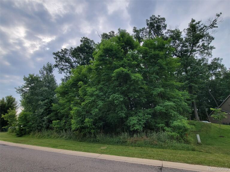 Lot 55 – Wyndam Ln, Hamburg