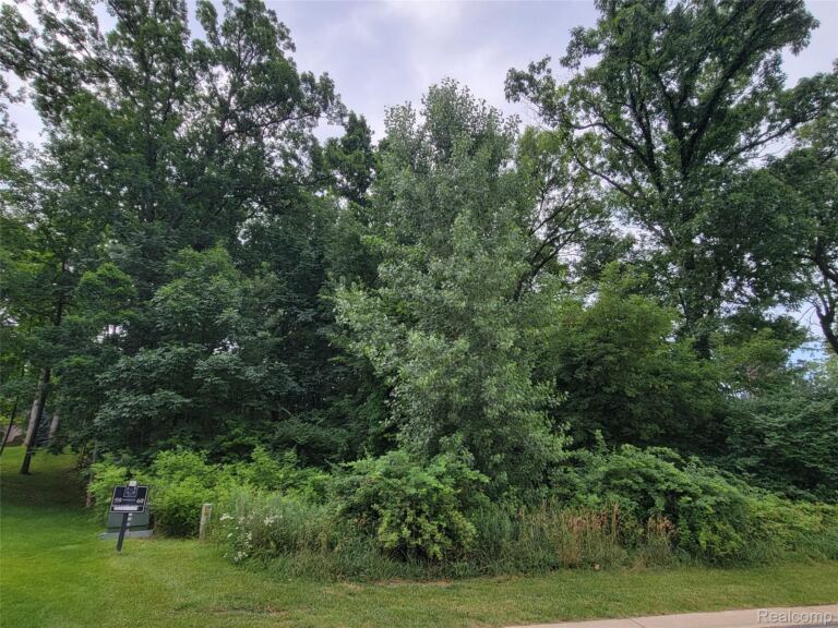 Lot 60 – 5876 Wyndam Ln, Hamburg