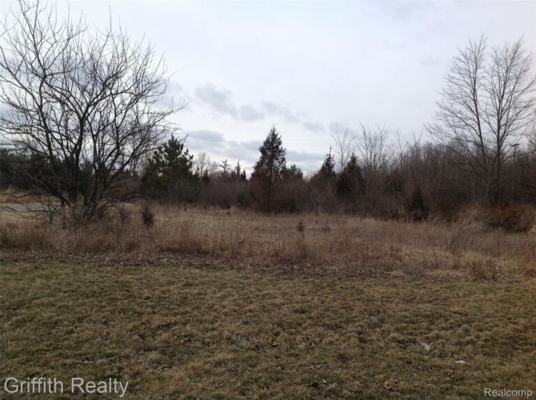 Lot 2 Mason Rd, Howell Township