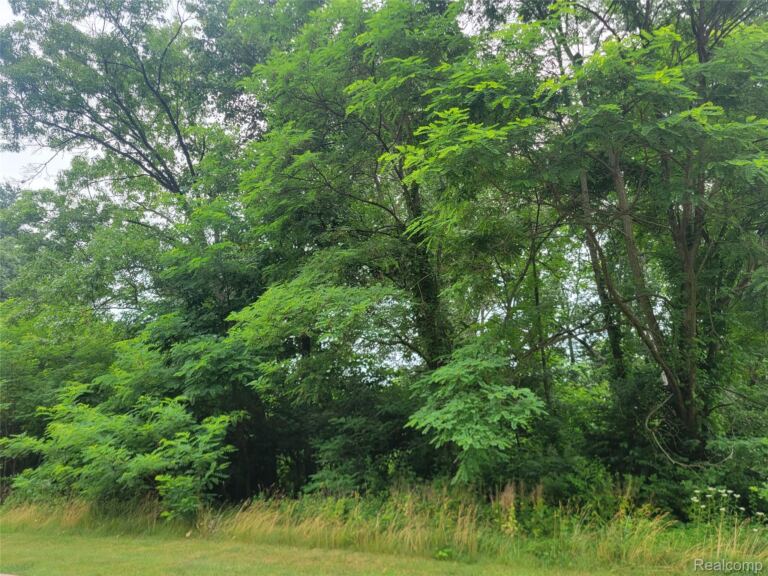 Lot 32 – Pinemont, Hamburg