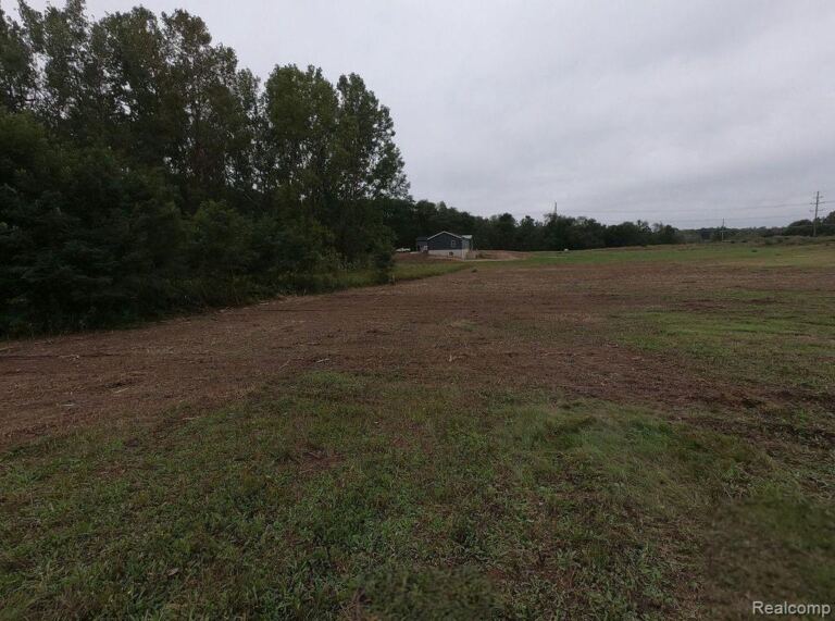 0 Pingree Rd, Marion Township