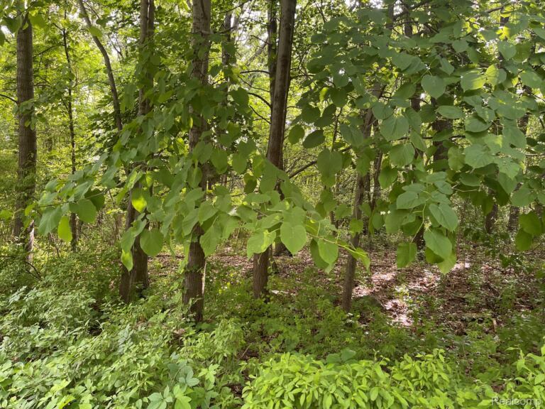 08 Tipsico Lake, Highland Charter Township