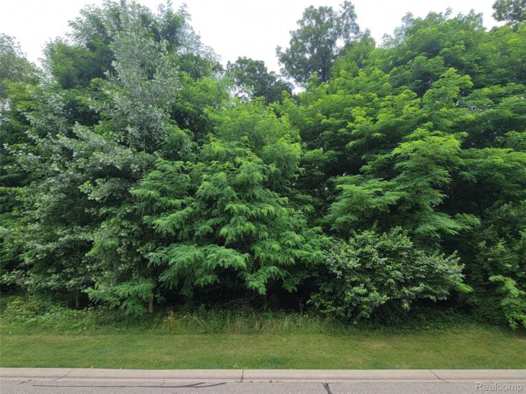 Lot 36 – Pinemont, Hamburg