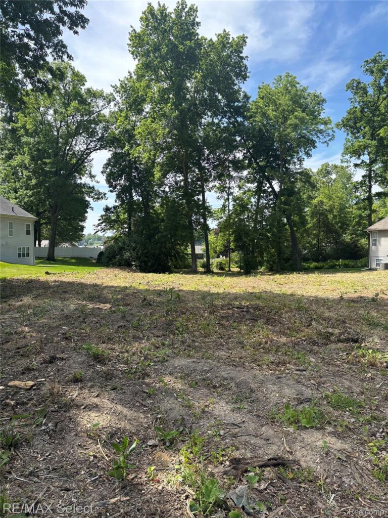 0 Kovacs Dr, Argentine Township