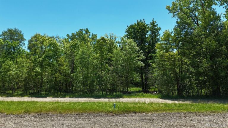 0 Williams Rd, Argentine Township
