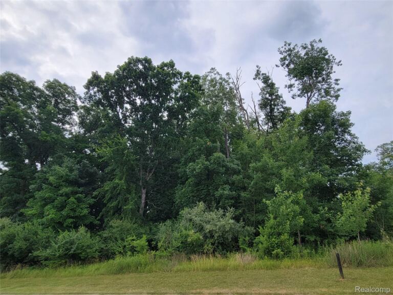 Lot 14 – 5972 Wyndam Ln, Hamburg