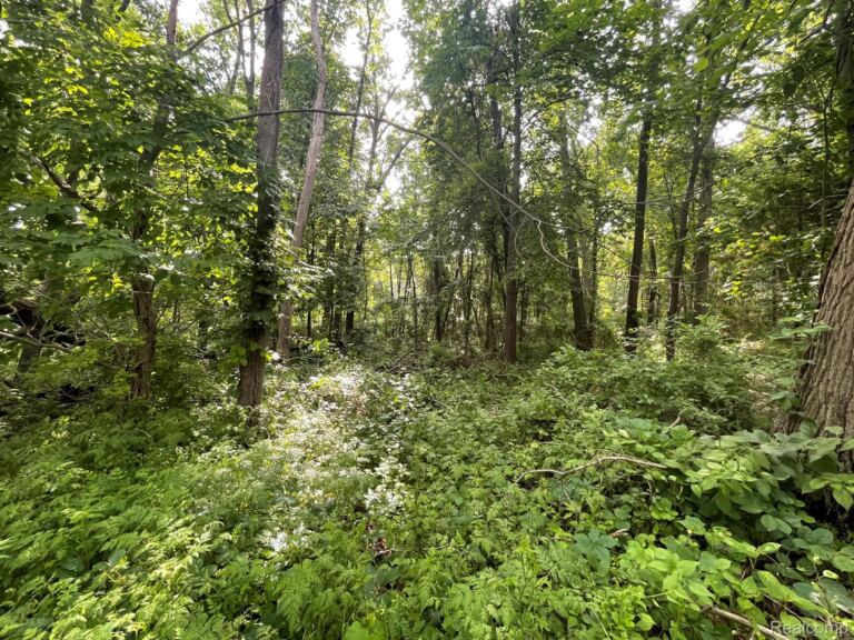09 Tipsico Lake Rd, Highland Charter Township