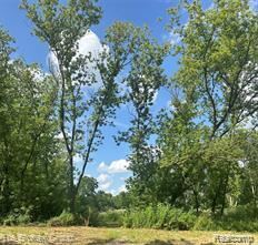15451 Lakeview Park Dr, Fenton