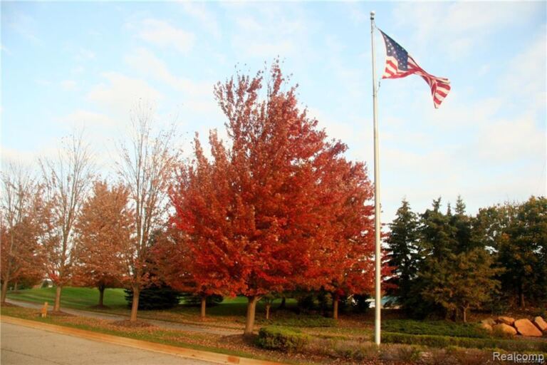 68 Donegal Court, Tyrone Township