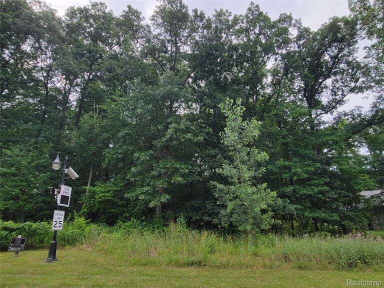 Lot 58 – Wyndam Ln, Hamburg