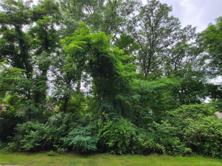 Lot 41 – Pinemont, Hamburg