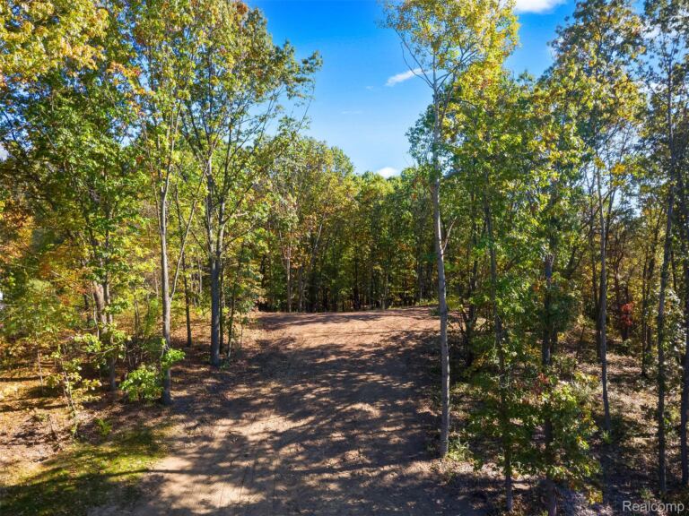 4273 Link Dr, Brighton Township