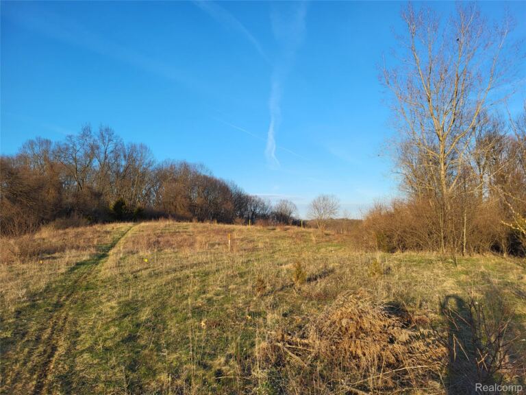 TBD Parcel C Olivia Dr, Milford