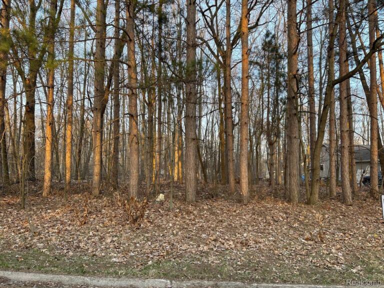9127 Pineview Lake, Argentine Township