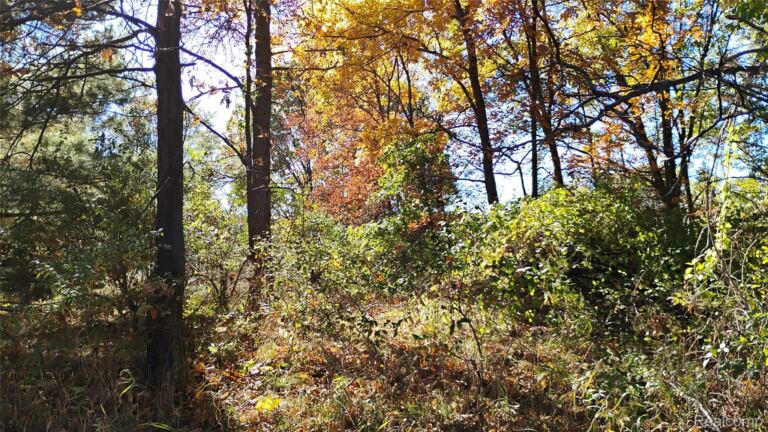 000 Middle Parcel C Middle Rd, Highland Charter Township
