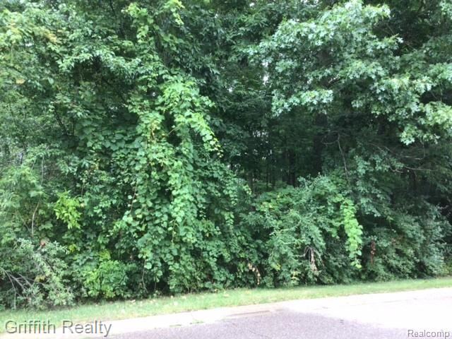 4473 Oak Pointe Dr, Genoa Township