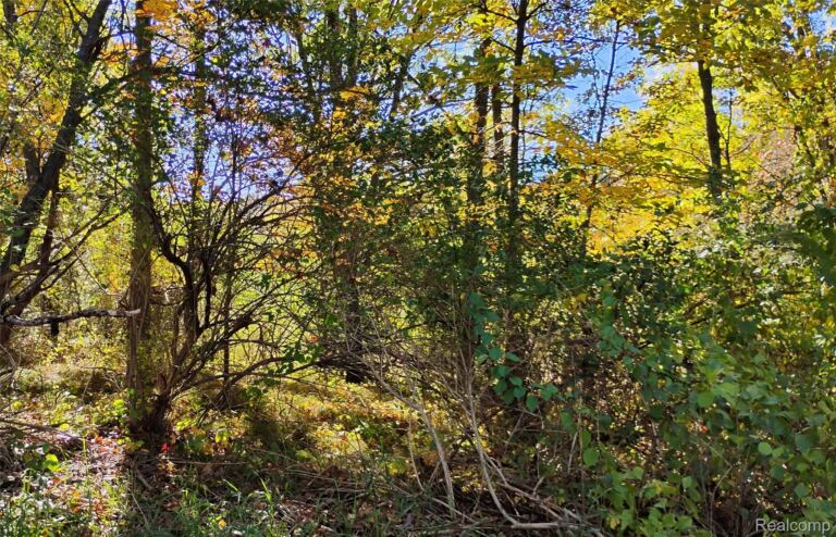 000 Middle Parcel D Middle Rd, Highland Charter Township