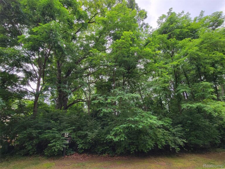Lot 43 – Pinemont, Hamburg